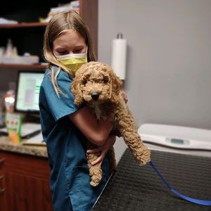 Meet your Posher, Mallory